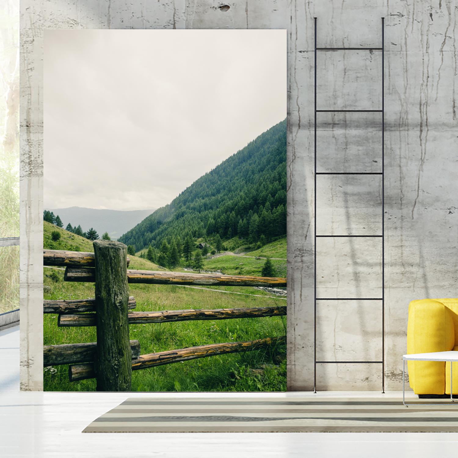 This view by Pexels on GIANT ART - white landscape