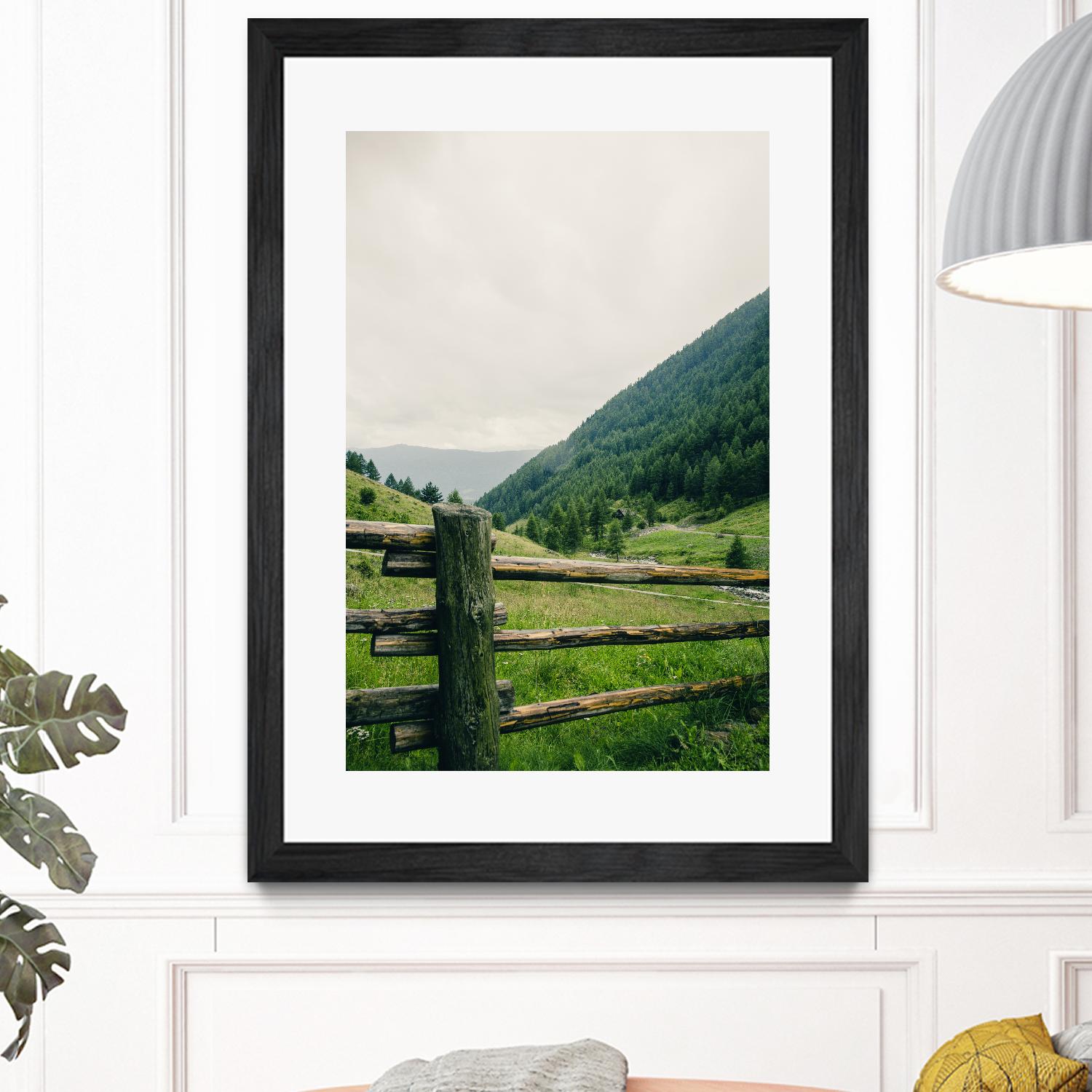 This view by Pexels on GIANT ART - white landscape