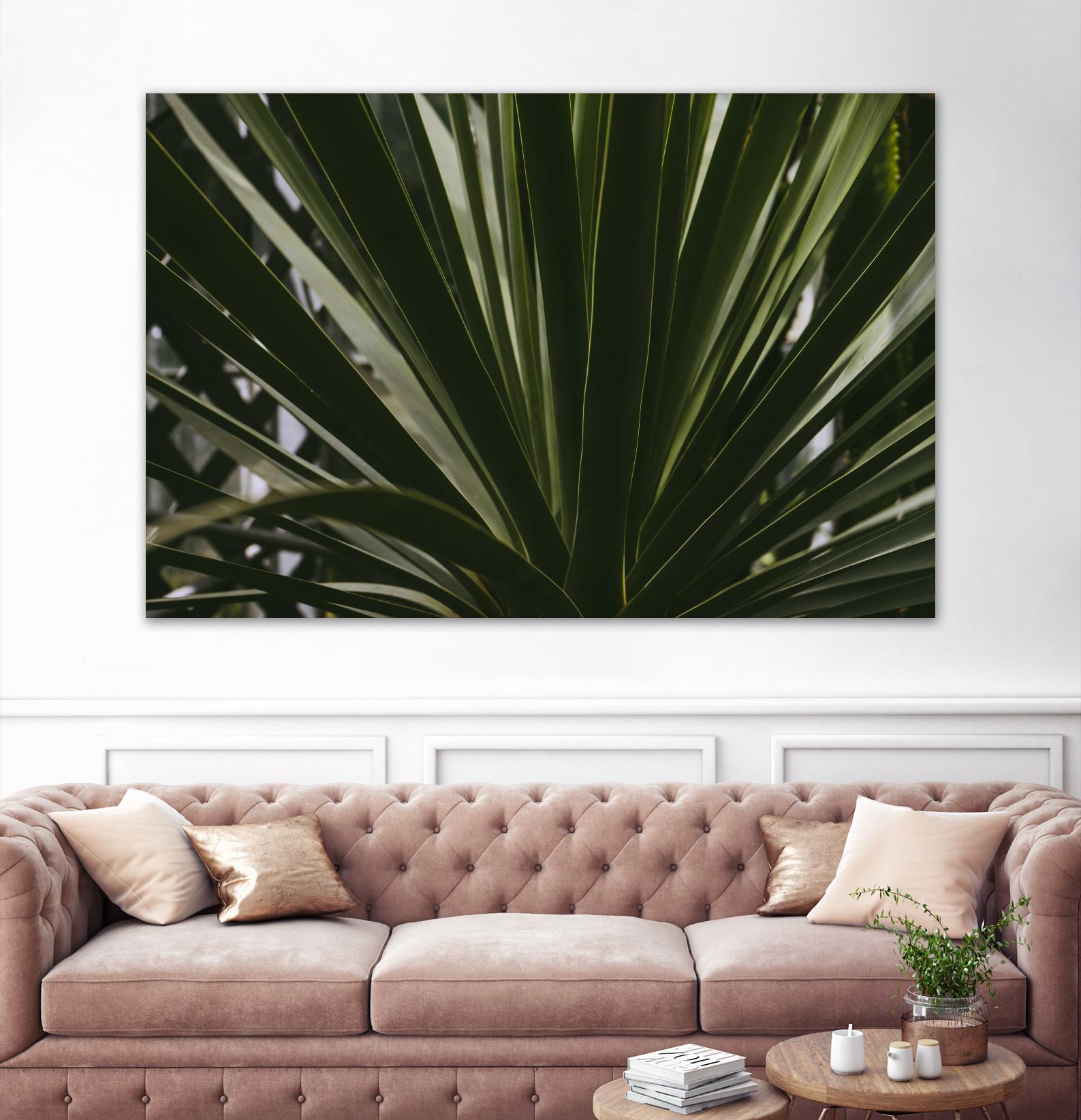 Palm by Pexels on GIANT ART - black tropical