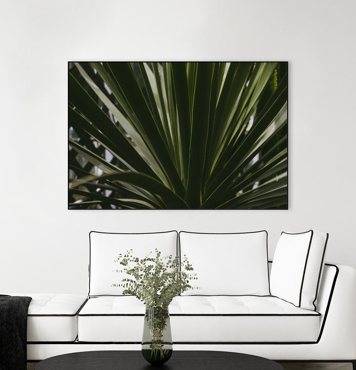 Palm by Pexels on GIANT ART - black tropical