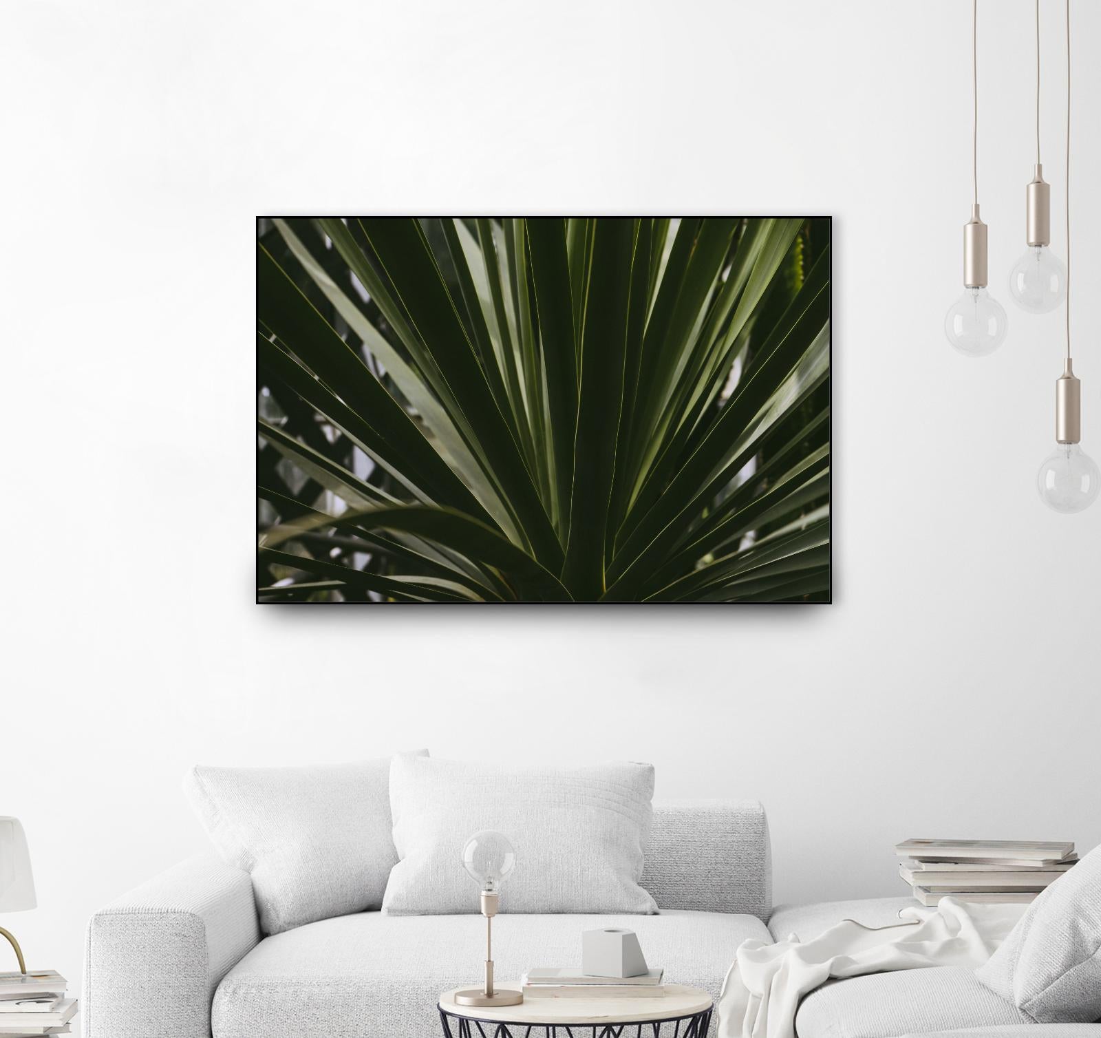 Palm by Pexels on GIANT ART - black tropical