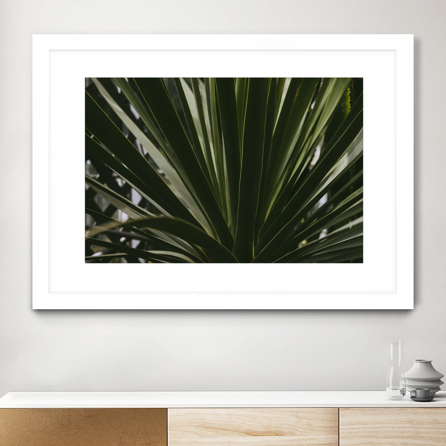 Palm by Pexels on GIANT ART - black tropical