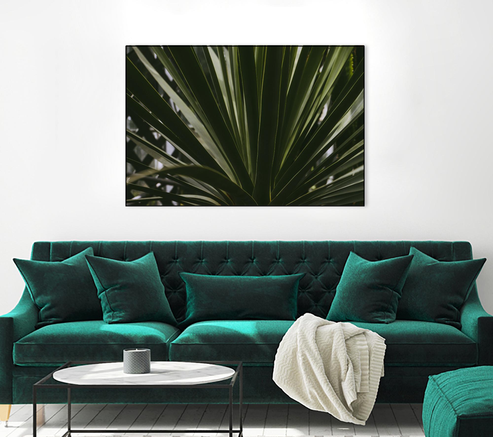 Palm by Pexels on GIANT ART - black tropical