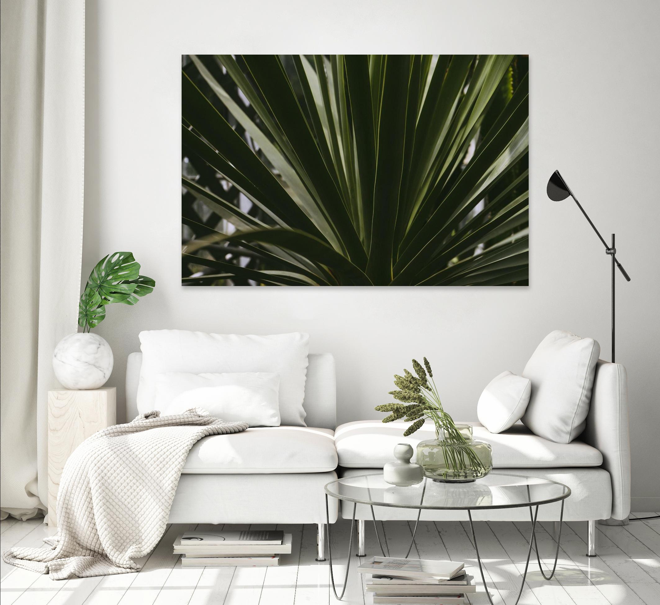 Palm by Pexels on GIANT ART - black tropical