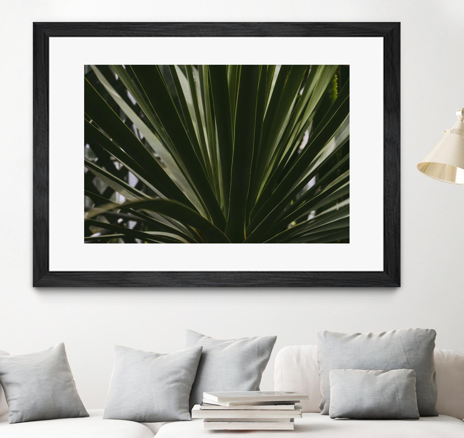 Palm by Pexels on GIANT ART - black tropical
