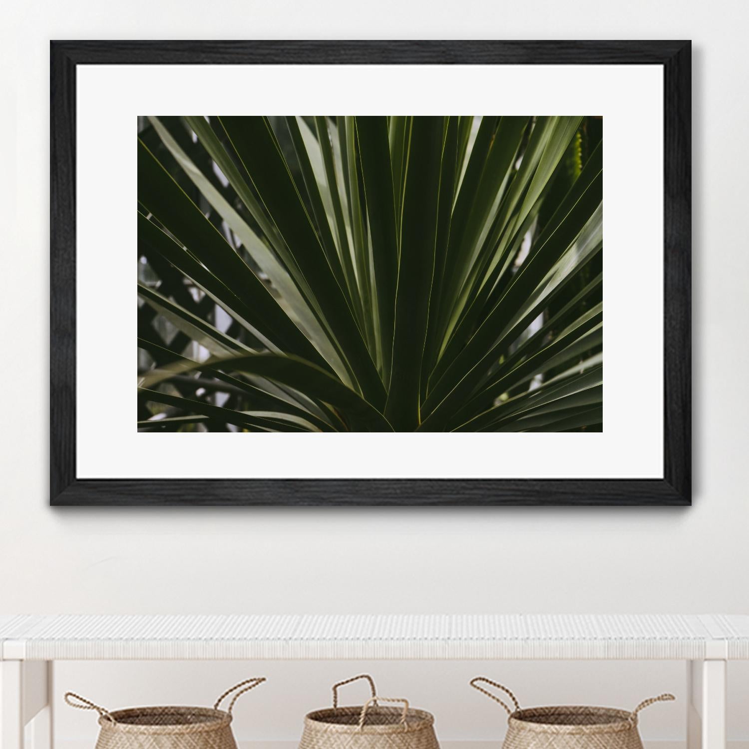 Palm by Pexels on GIANT ART - black tropical