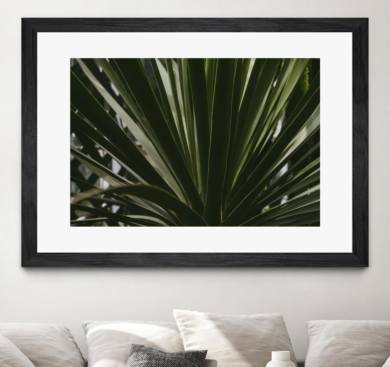 Palm by Pexels on GIANT ART - black tropical