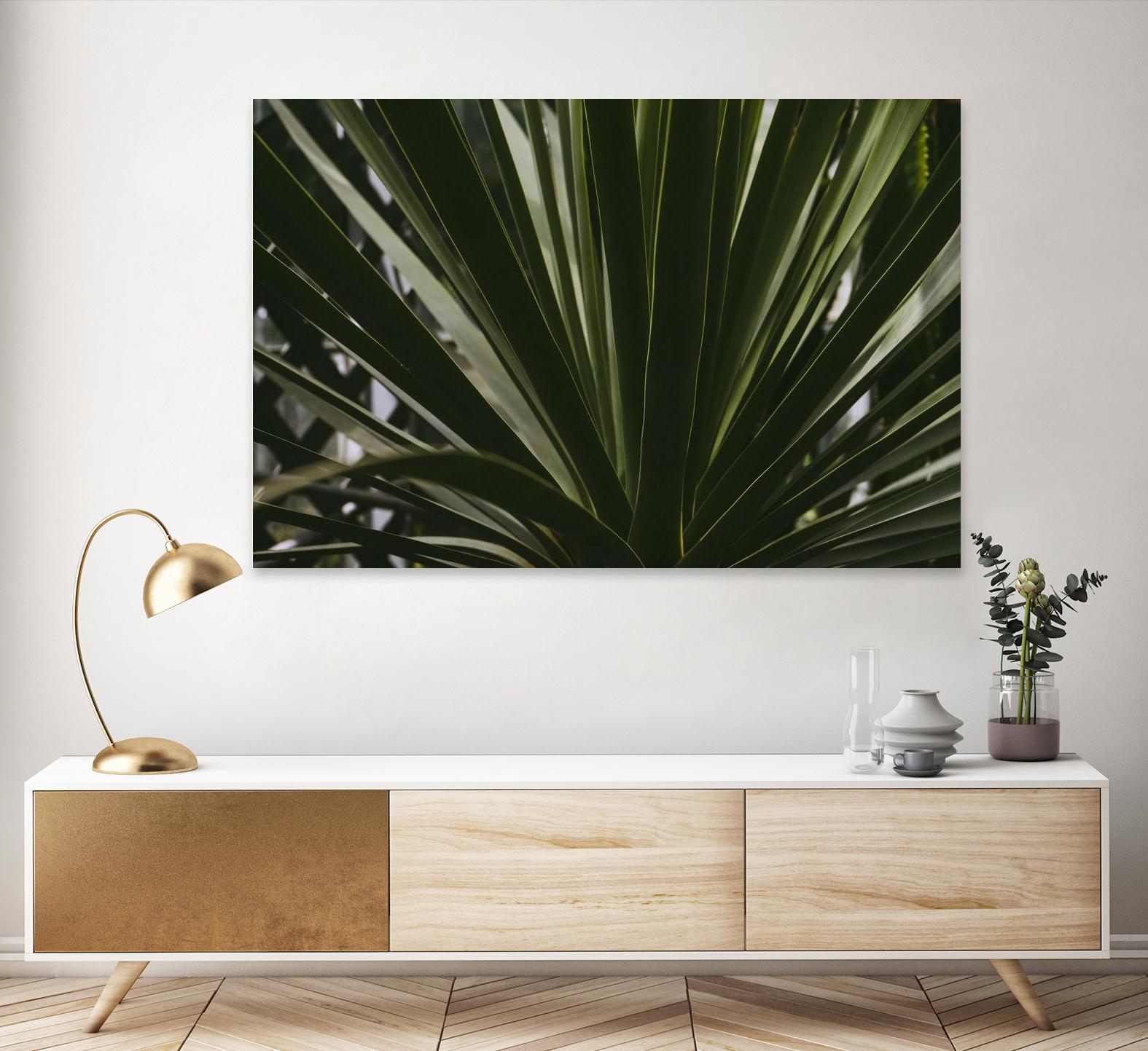 Palm by Pexels on GIANT ART - black tropical