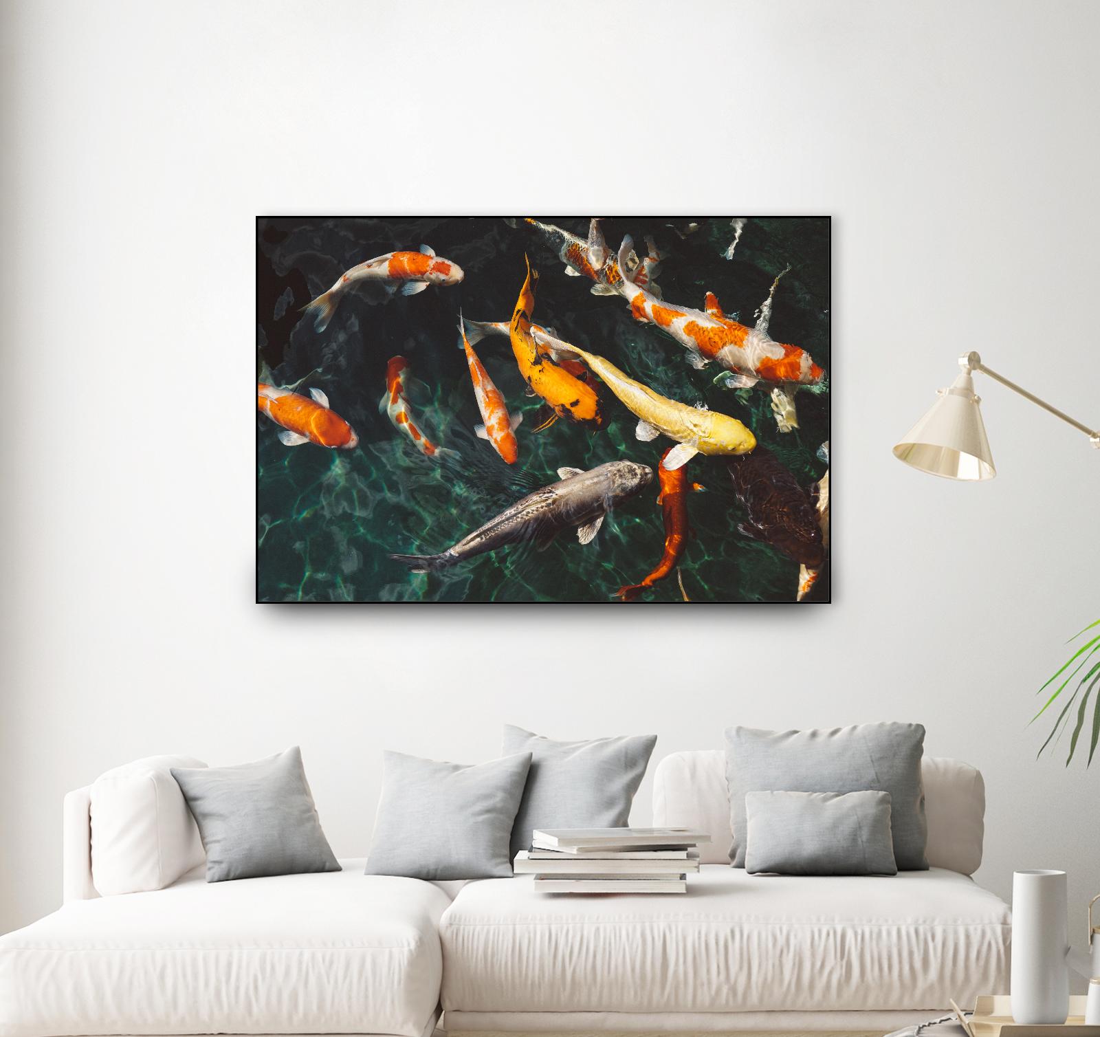 Koi by Pexels on GIANT ART - green animals