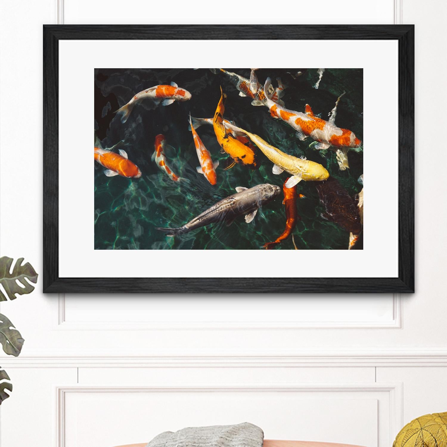 Koi by Pexels on GIANT ART - green animals