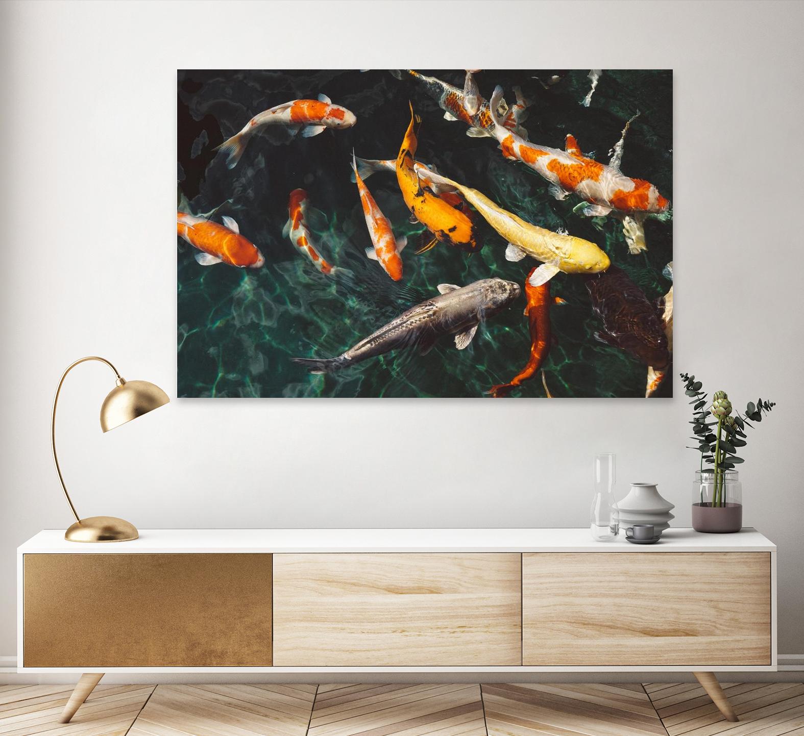 Koi by Pexels on GIANT ART - green animals