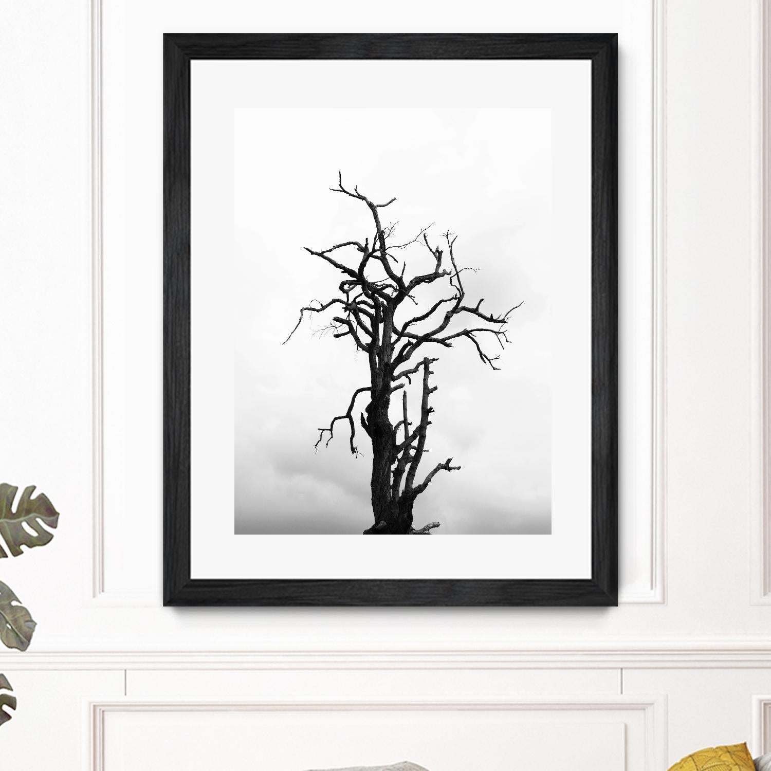 Dead tree by Pexels on GIANT ART - white trees