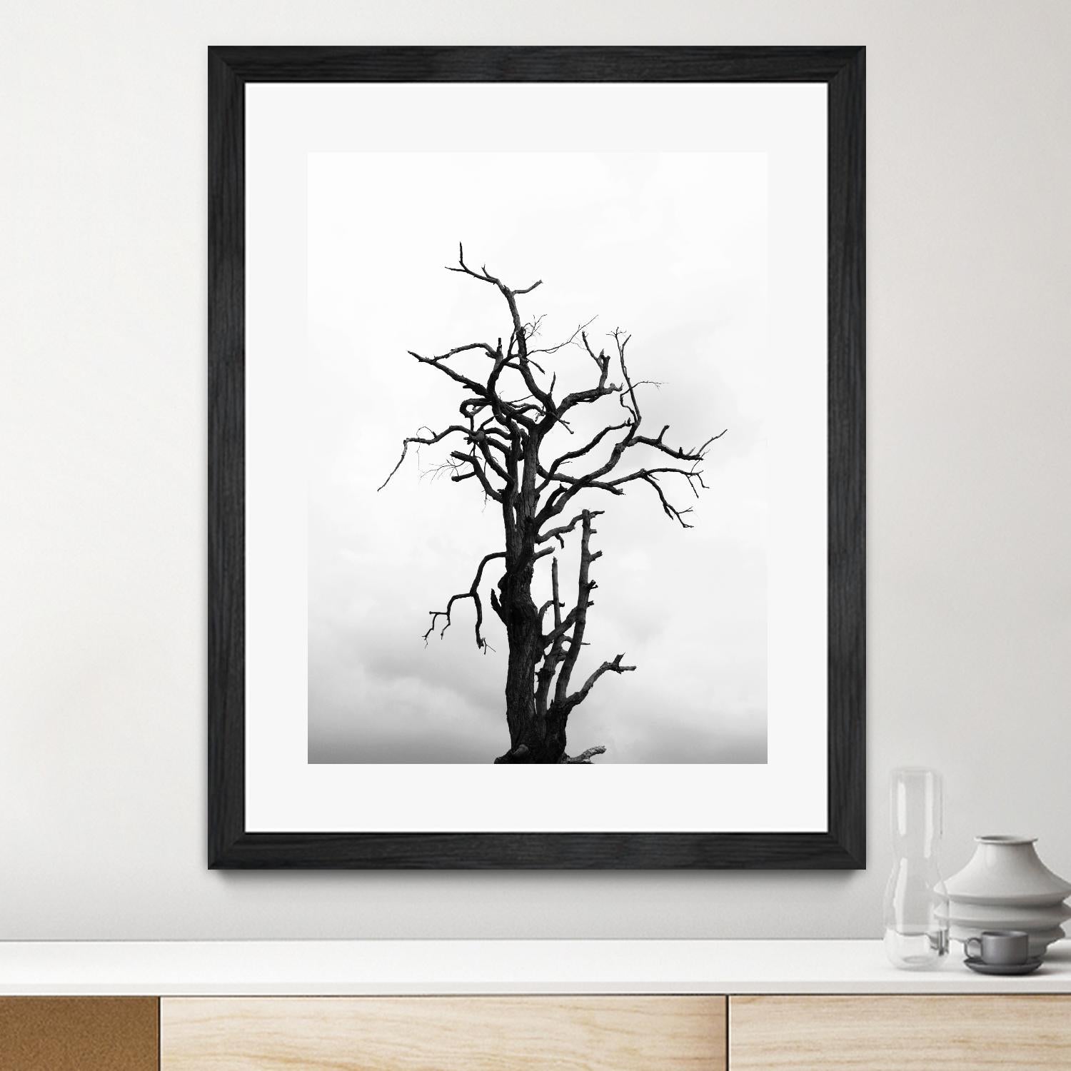 Dead tree by Pexels on GIANT ART - white trees