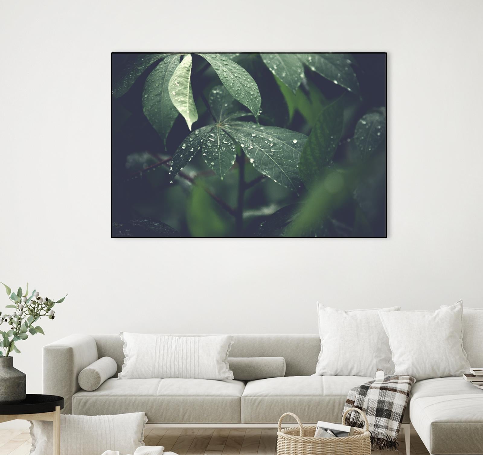 Leaves by Pexels on GIANT ART - black botany