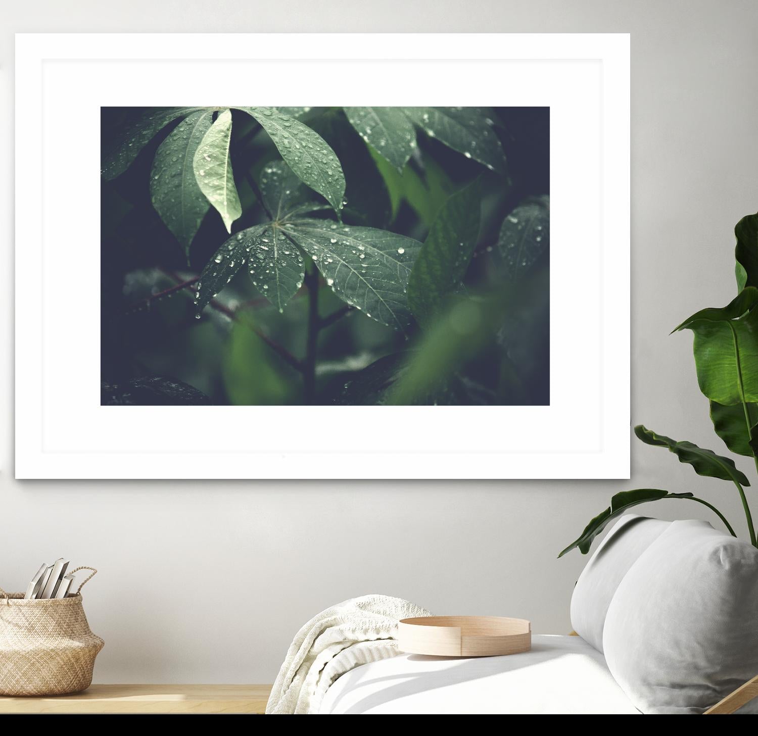 Leaves by Pexels on GIANT ART - black botany