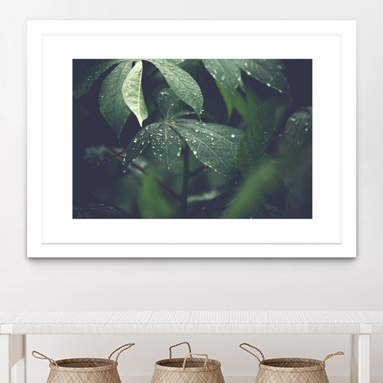 Leaves by Pexels on GIANT ART - black botany