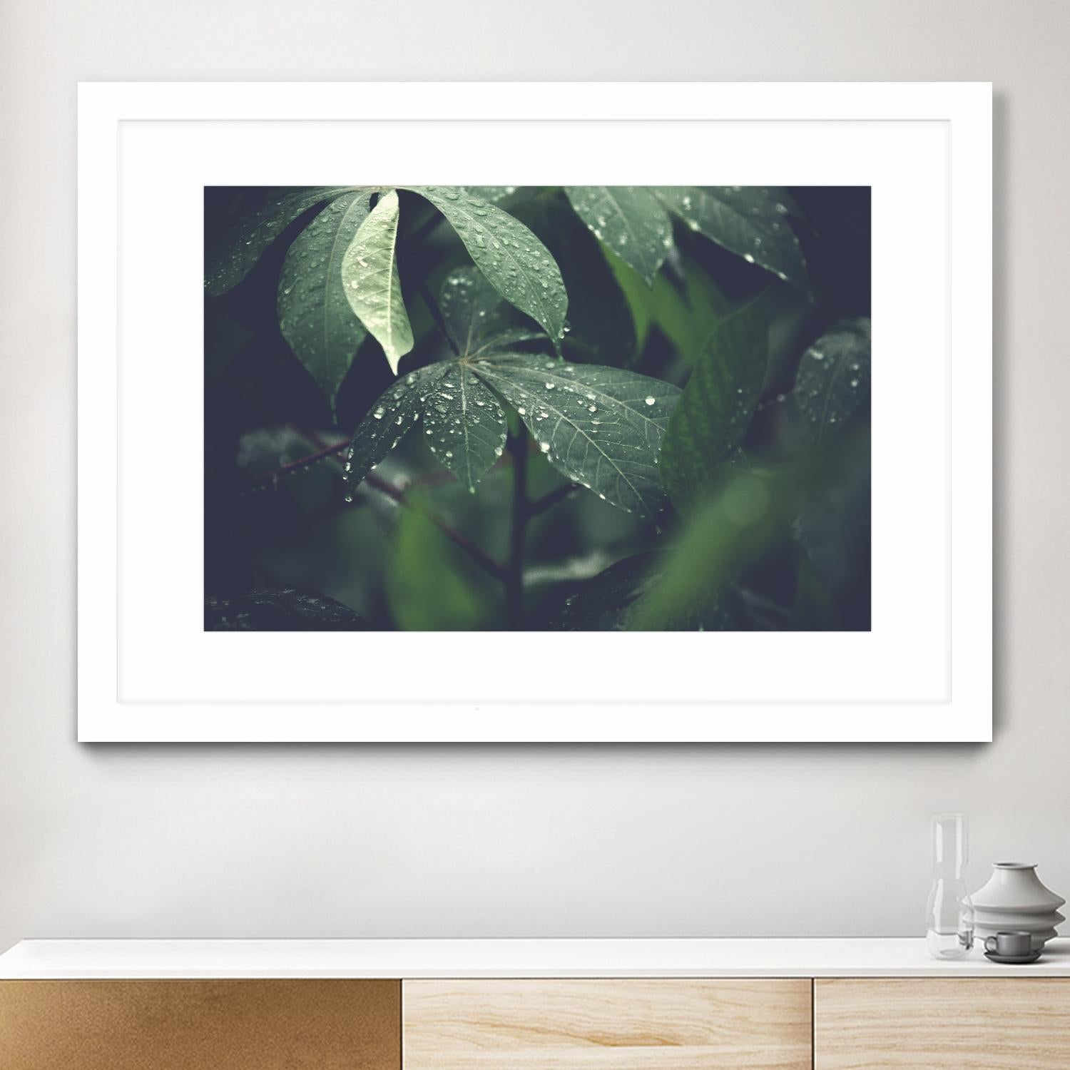 Leaves by Pexels on GIANT ART - black botany