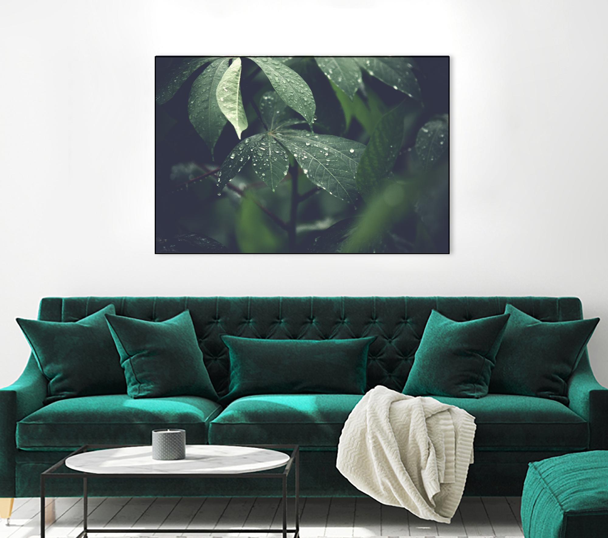 Leaves by Pexels on GIANT ART - black botany