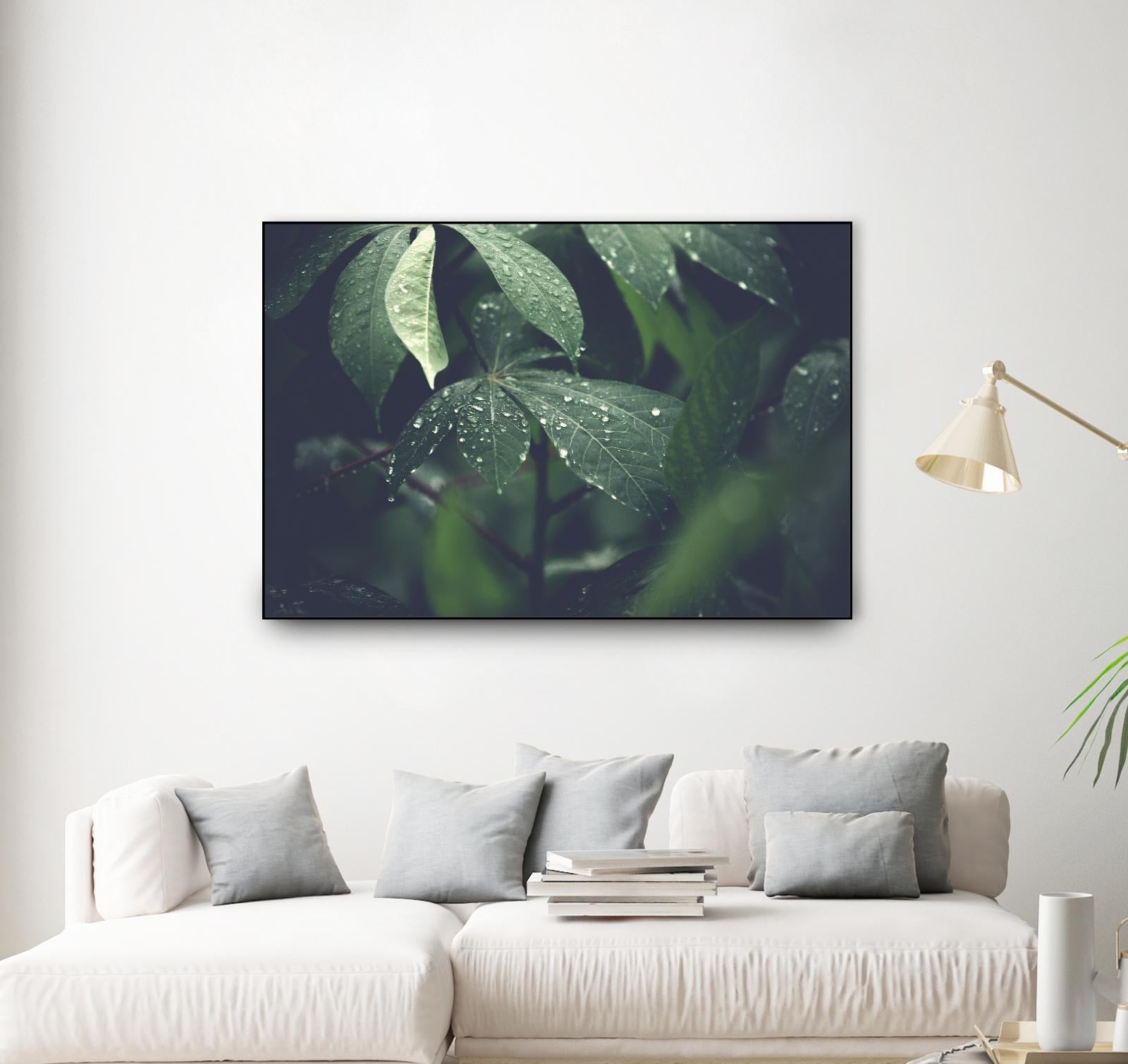 Leaves by Pexels on GIANT ART - black botany