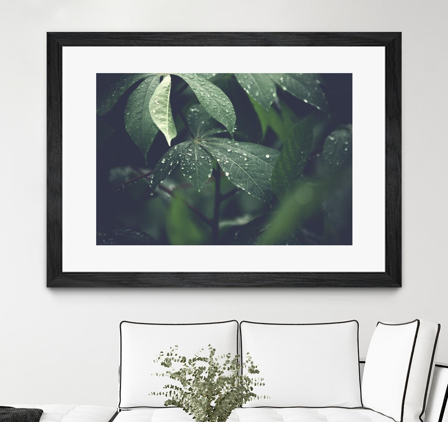 Leaves by Pexels on GIANT ART - black botany