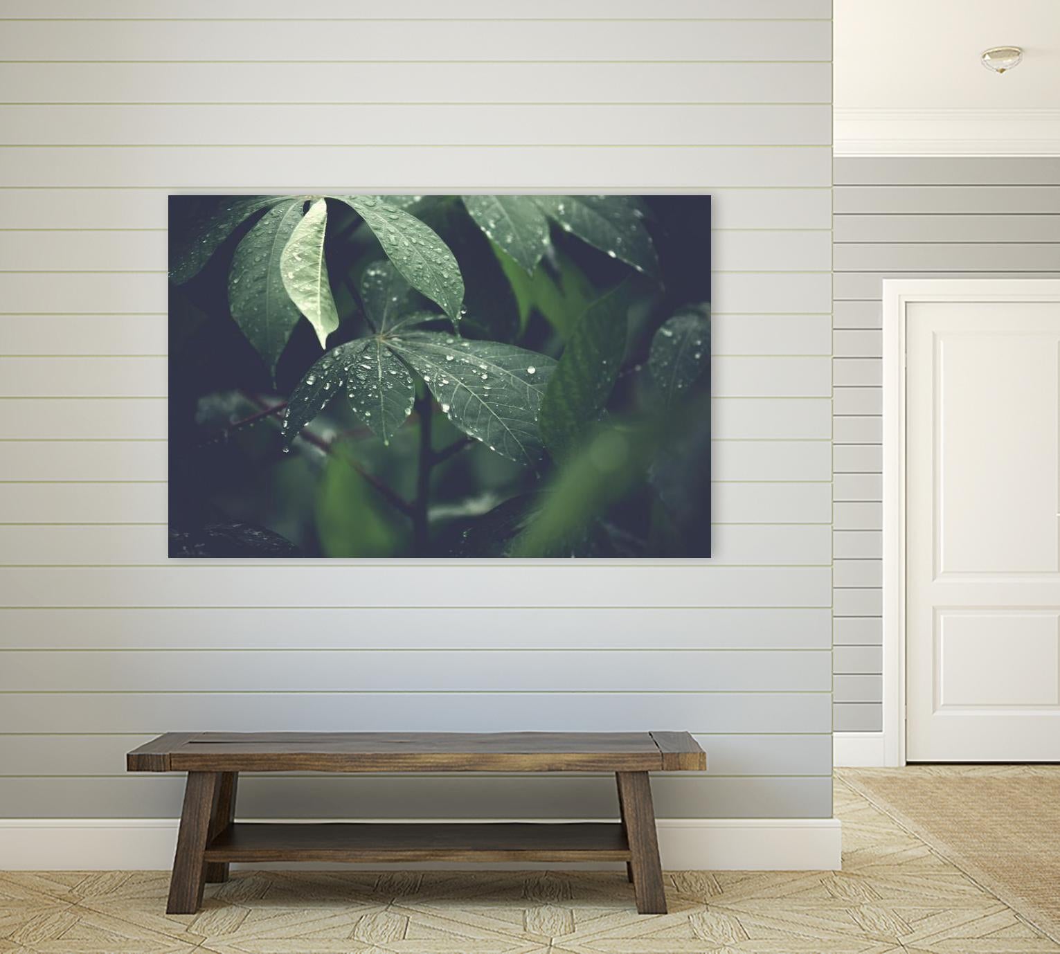 Leaves by Pexels on GIANT ART - black botany