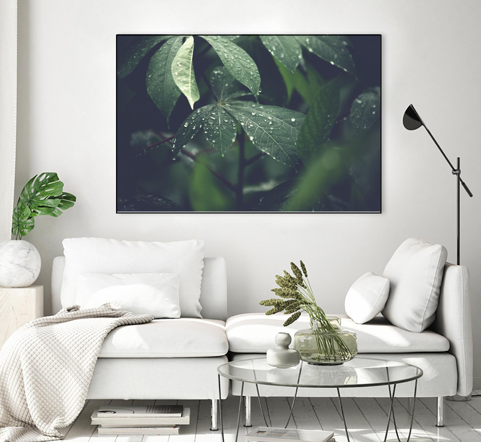 Leaves by Pexels on GIANT ART - black botany