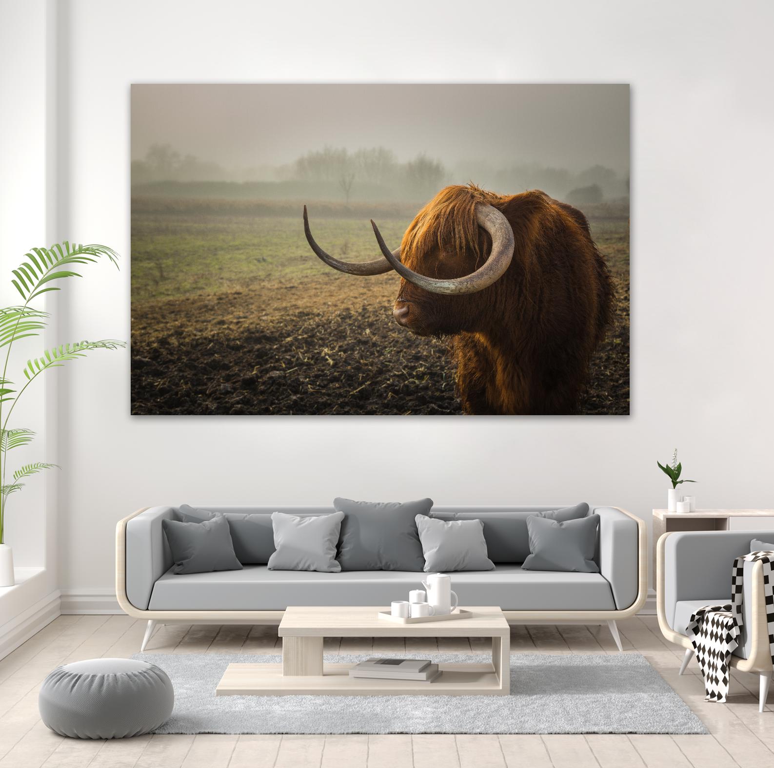 Longhorn by Pexels on GIANT ART - green animals