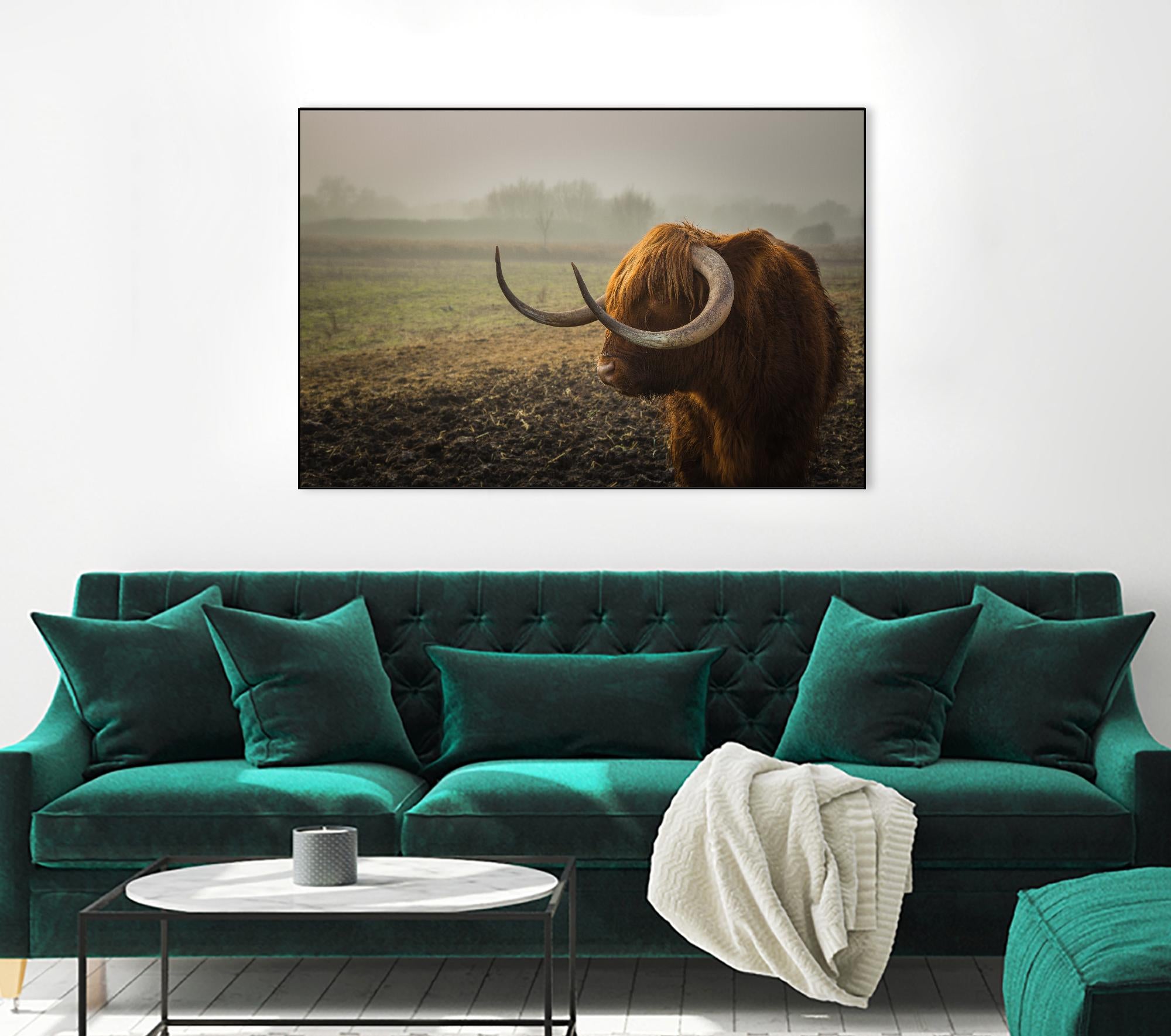 Longhorn by Pexels on GIANT ART - green animals