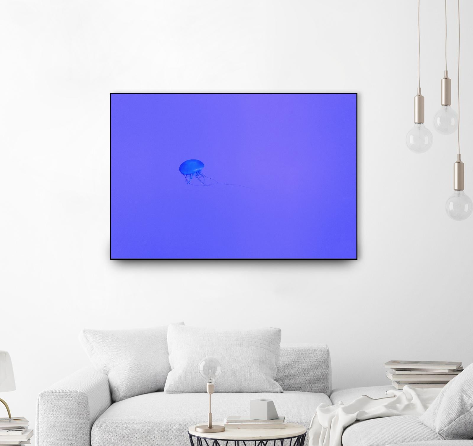 Jellyfish Jam by Pexels on GIANT ART - purple animals