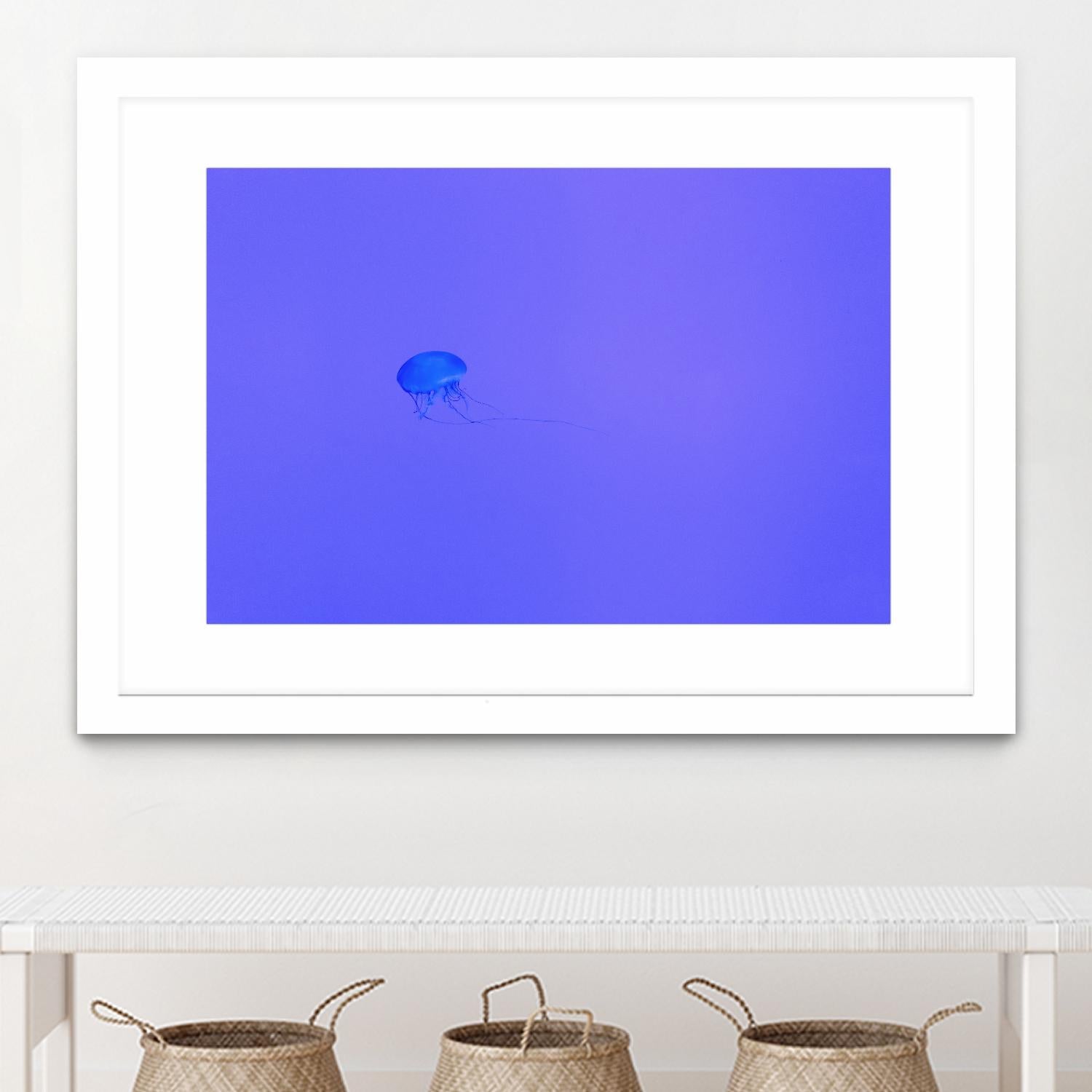 Jellyfish Jam by Pexels on GIANT ART - purple animals