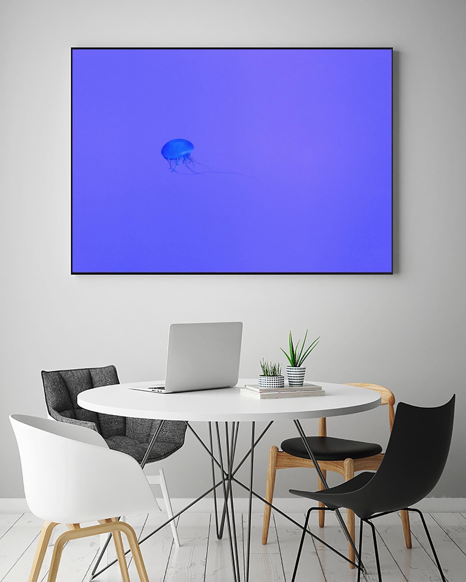 Jellyfish Jam by Pexels on GIANT ART - purple animals