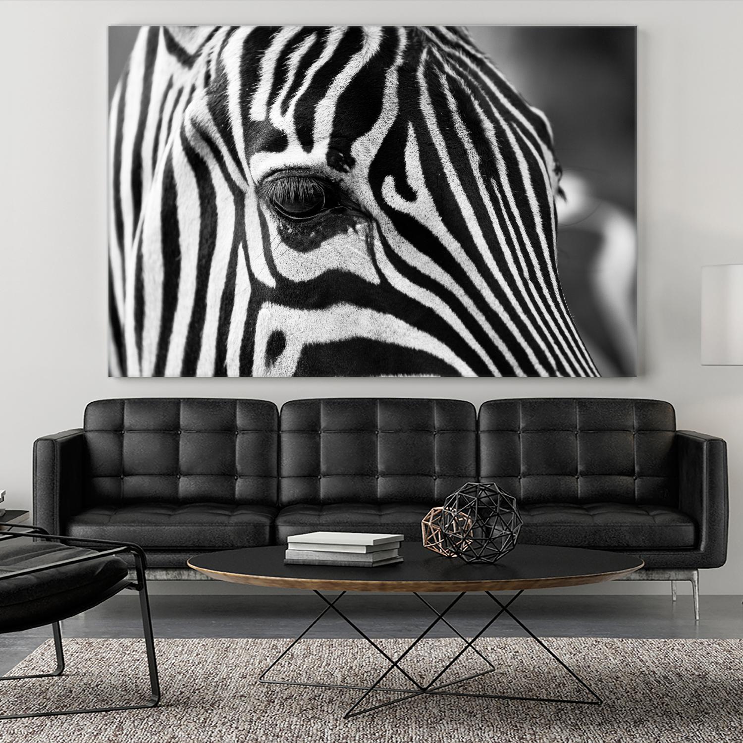 Zoomed Zebra by Pexels on GIANT ART - white animals