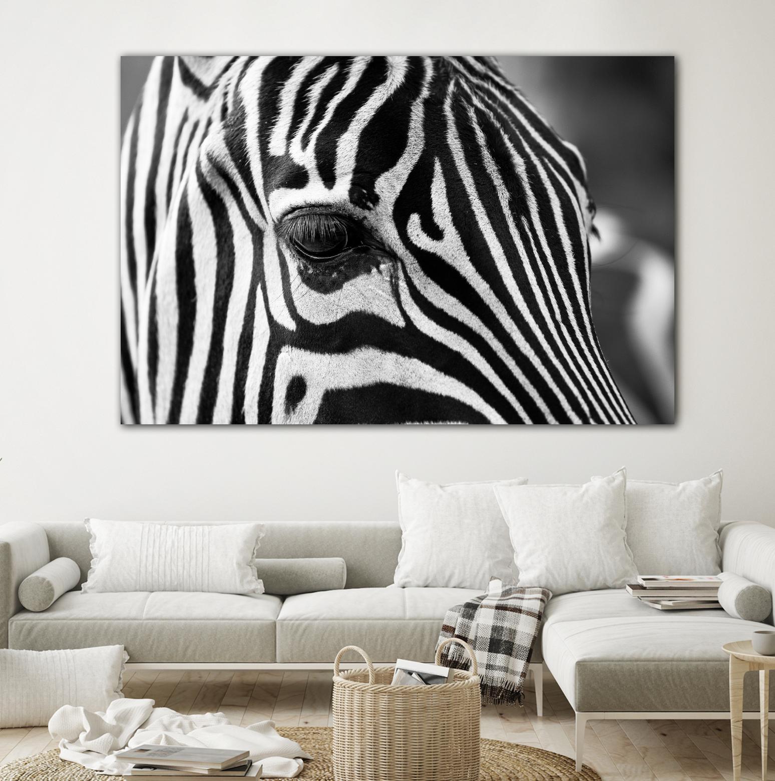 Zoomed Zebra by Pexels on GIANT ART - white animals