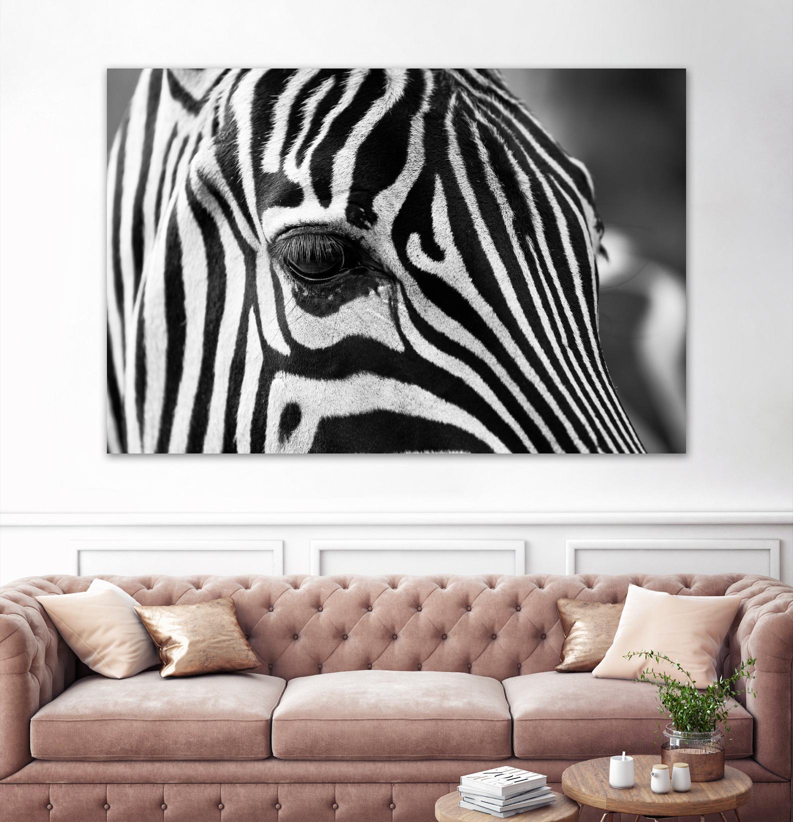 Zoomed Zebra by Pexels on GIANT ART - white animals