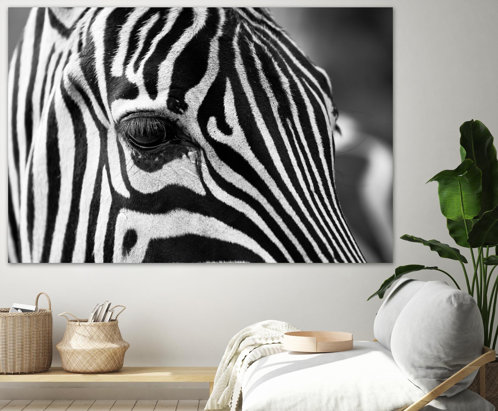 Zoomed Zebra by Pexels on GIANT ART - white animals
