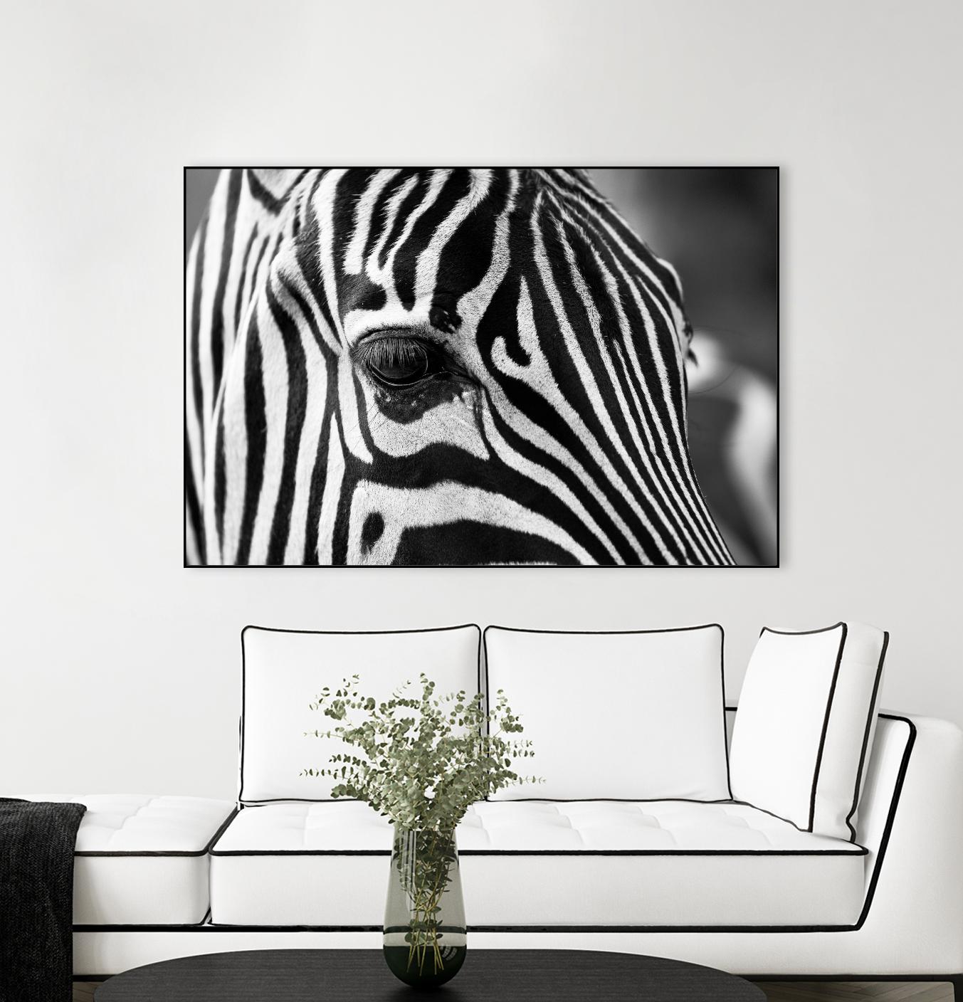 Zoomed Zebra by Pexels on GIANT ART - white animals