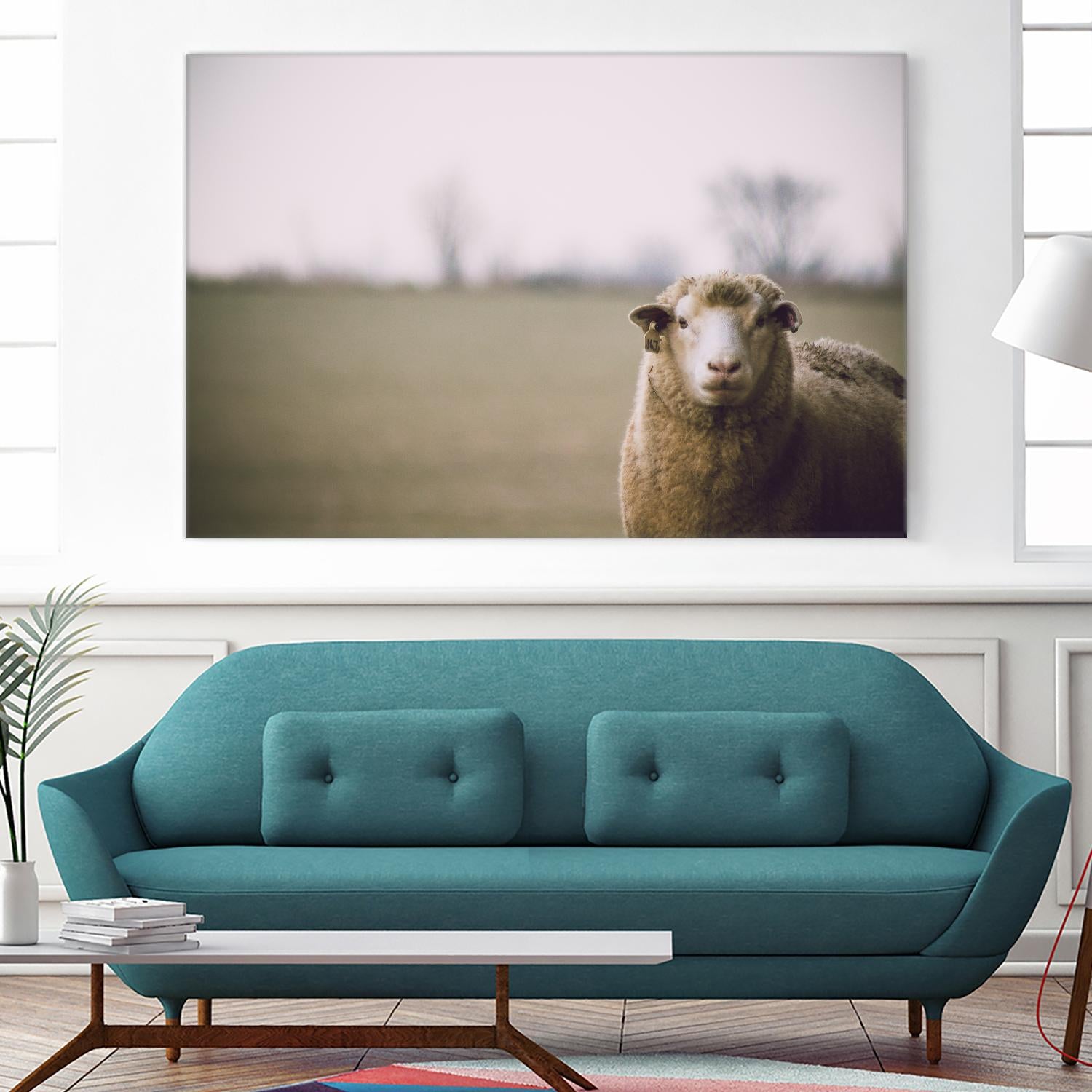 Baa 167 by Pexels on GIANT ART - white animals