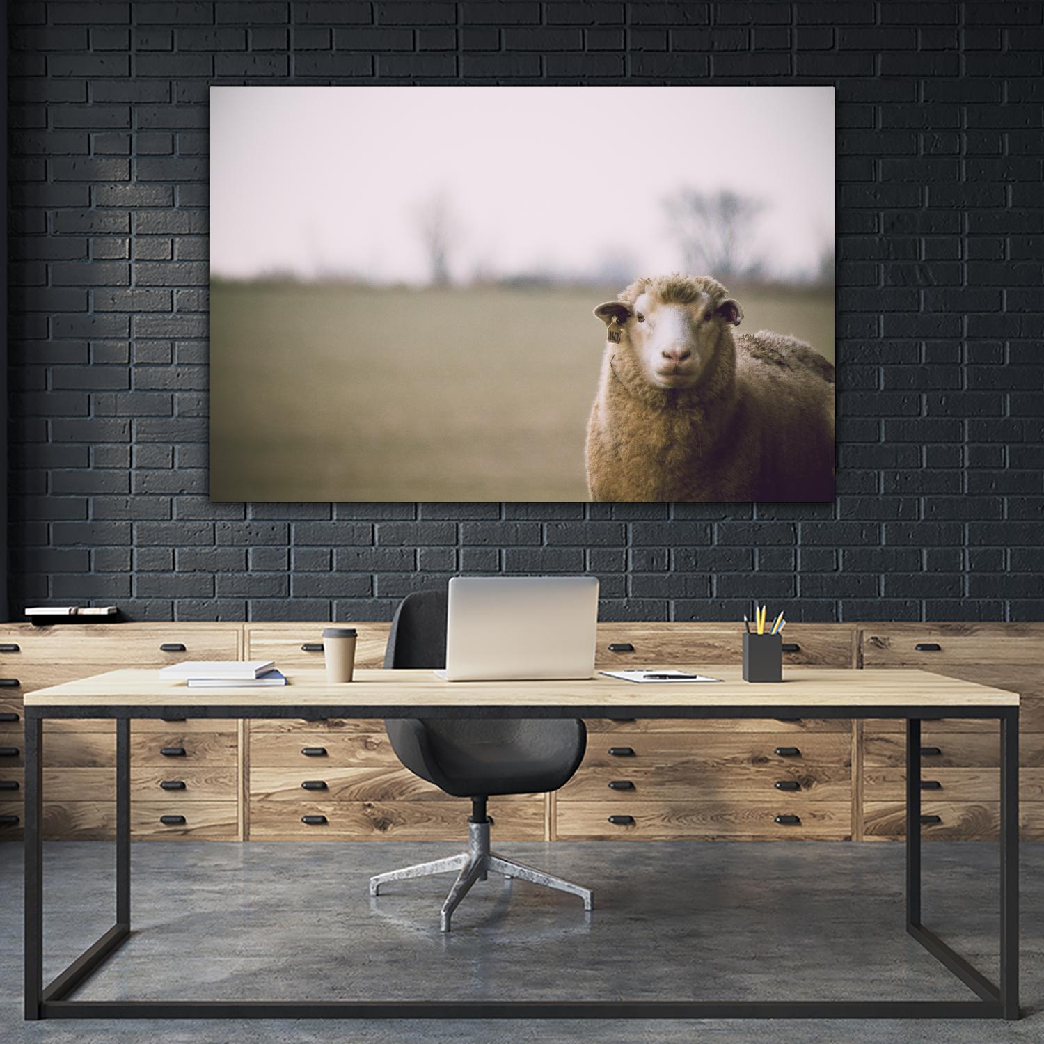 Baa 167 by Pexels on GIANT ART - white animals