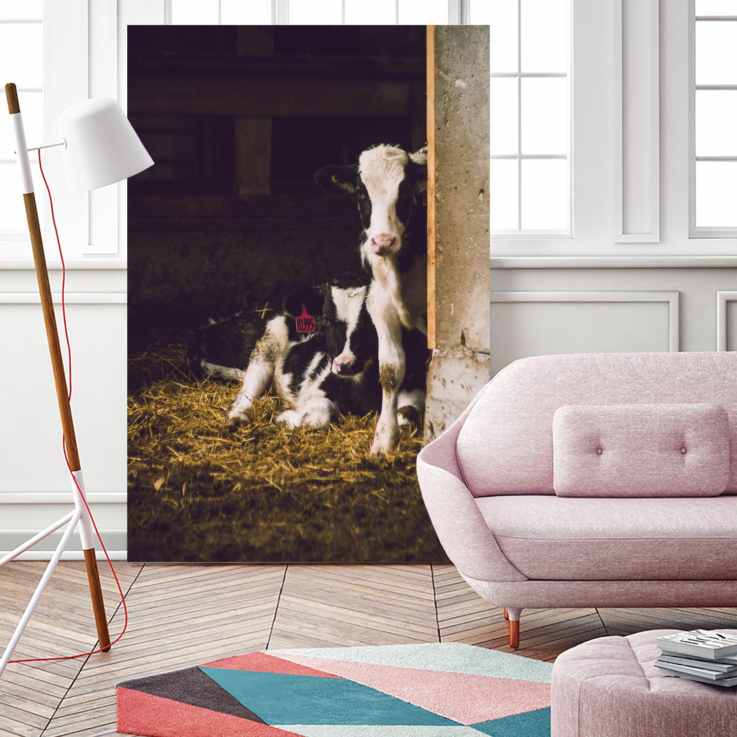 Siblings by Pexels on GIANT ART - yellow animals