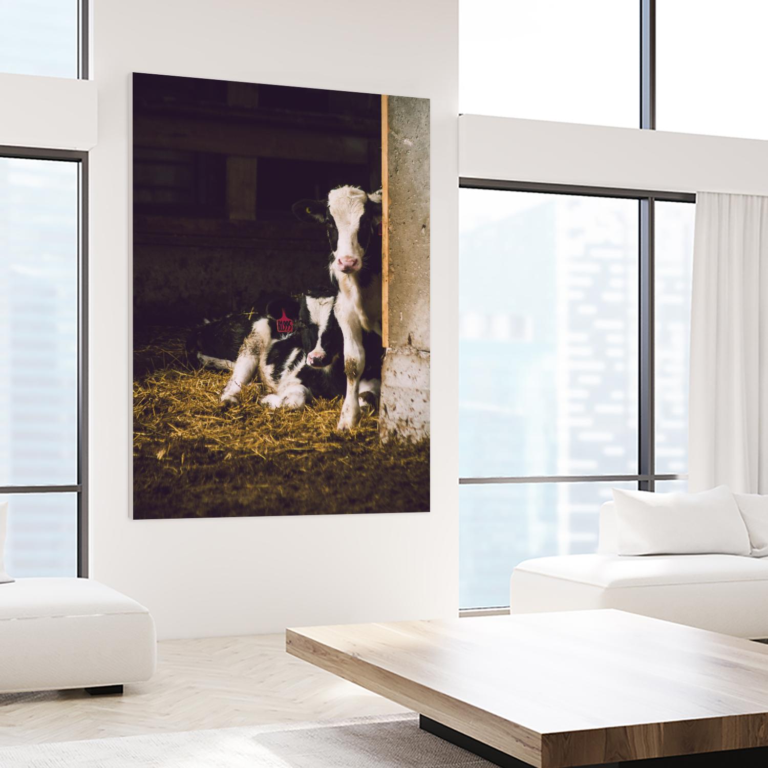 Siblings by Pexels on GIANT ART - yellow animals