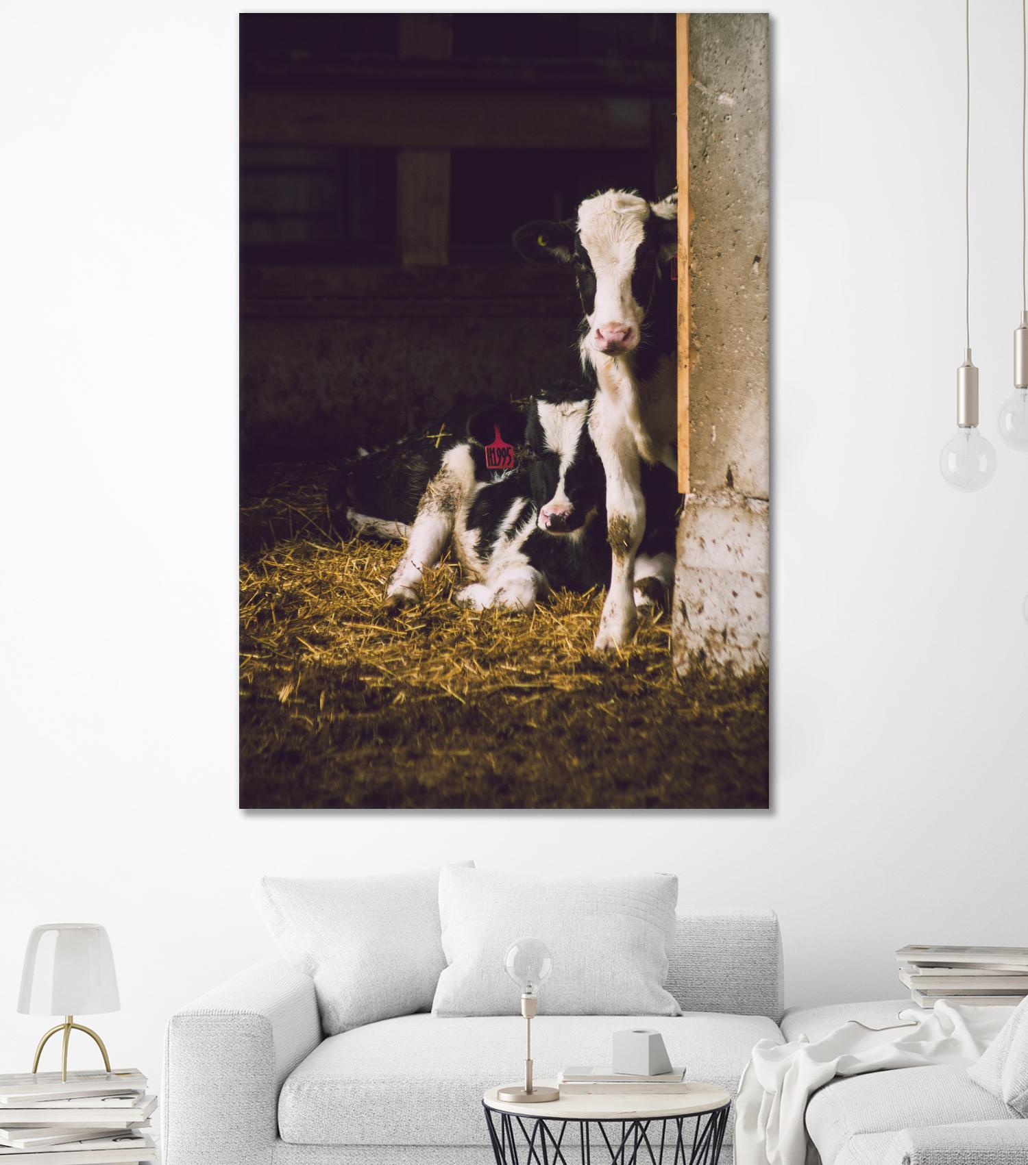 Siblings by Pexels on GIANT ART - yellow animals