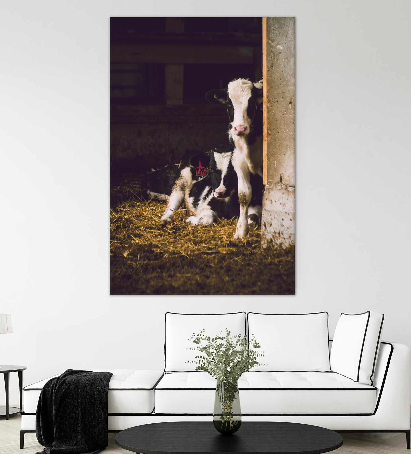 Siblings by Pexels on GIANT ART - yellow animals