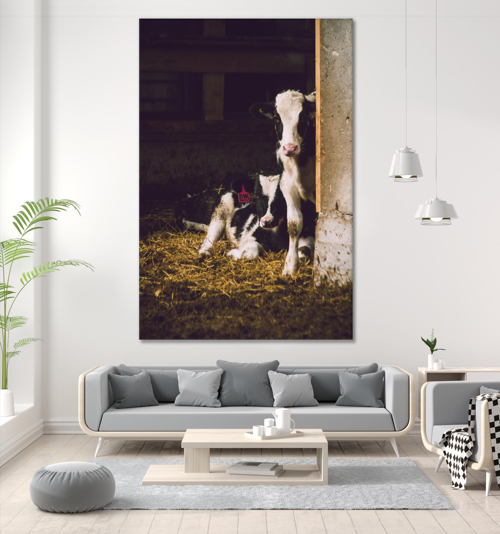 Siblings by Pexels on GIANT ART - yellow animals