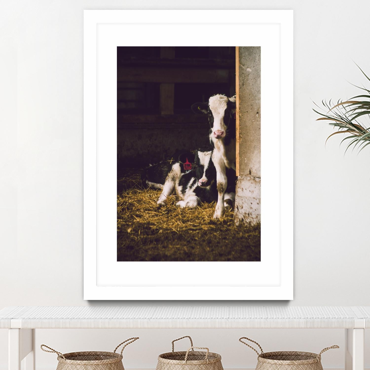 Siblings by Pexels on GIANT ART - yellow animals