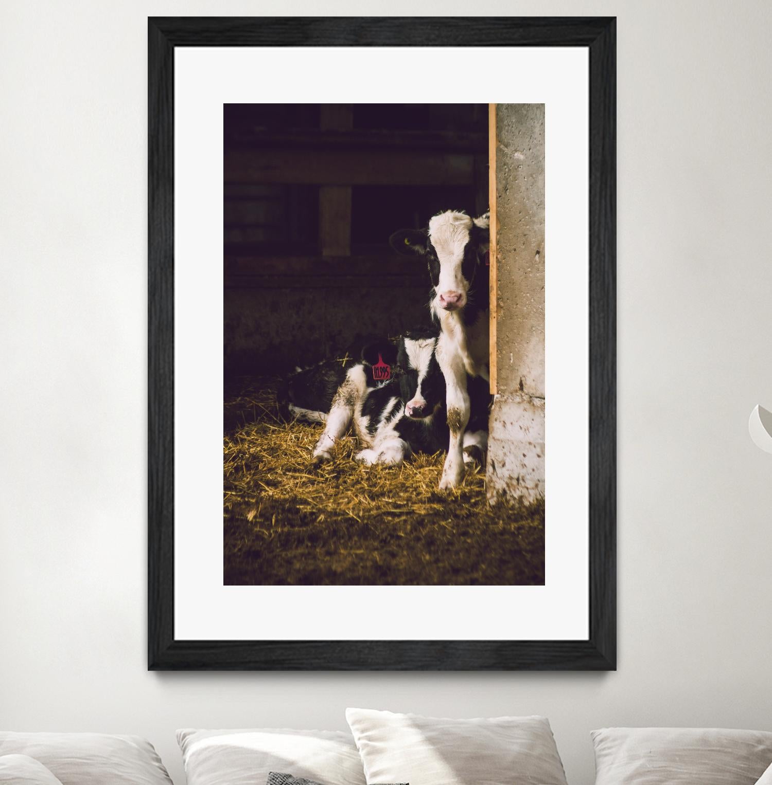 Siblings by Pexels on GIANT ART - yellow animals