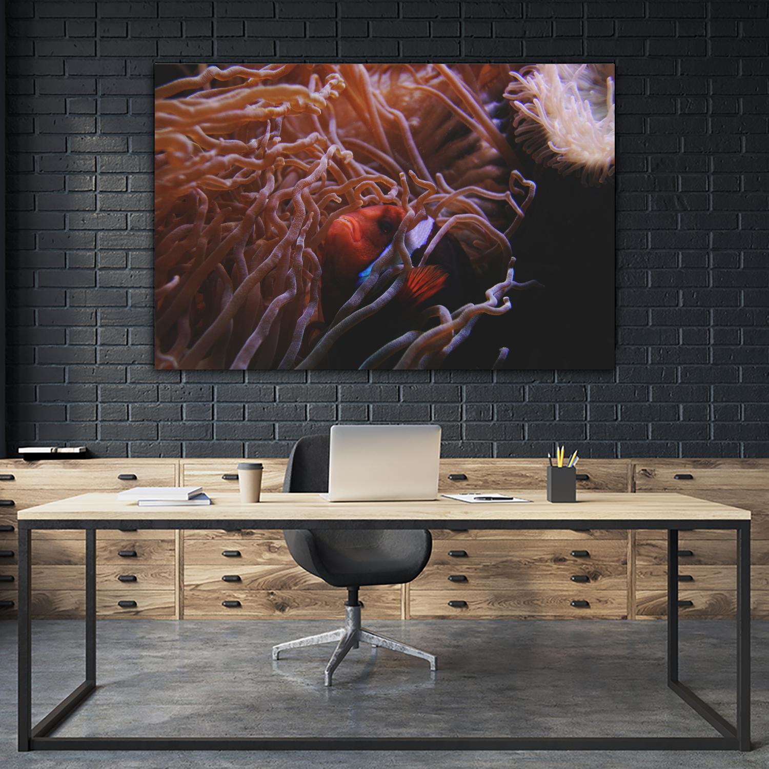 Fish Clown by Pexels on GIANT ART - white animals