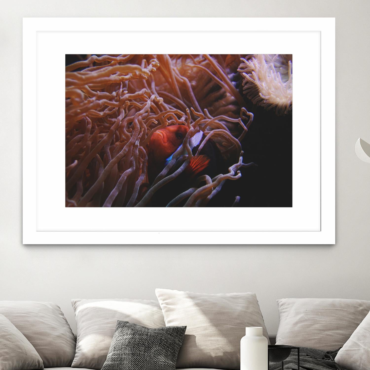 Fish Clown by Pexels on GIANT ART - white animals