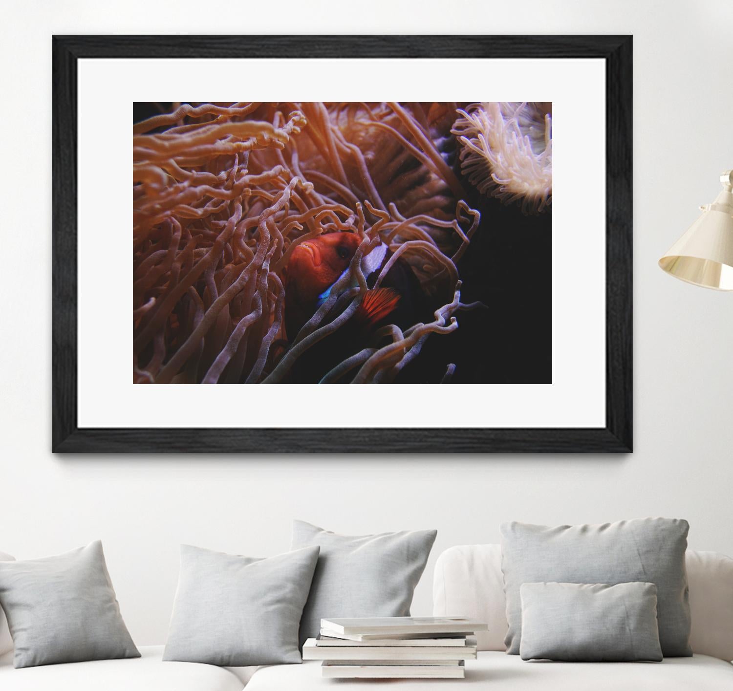 Fish Clown by Pexels on GIANT ART - white animals