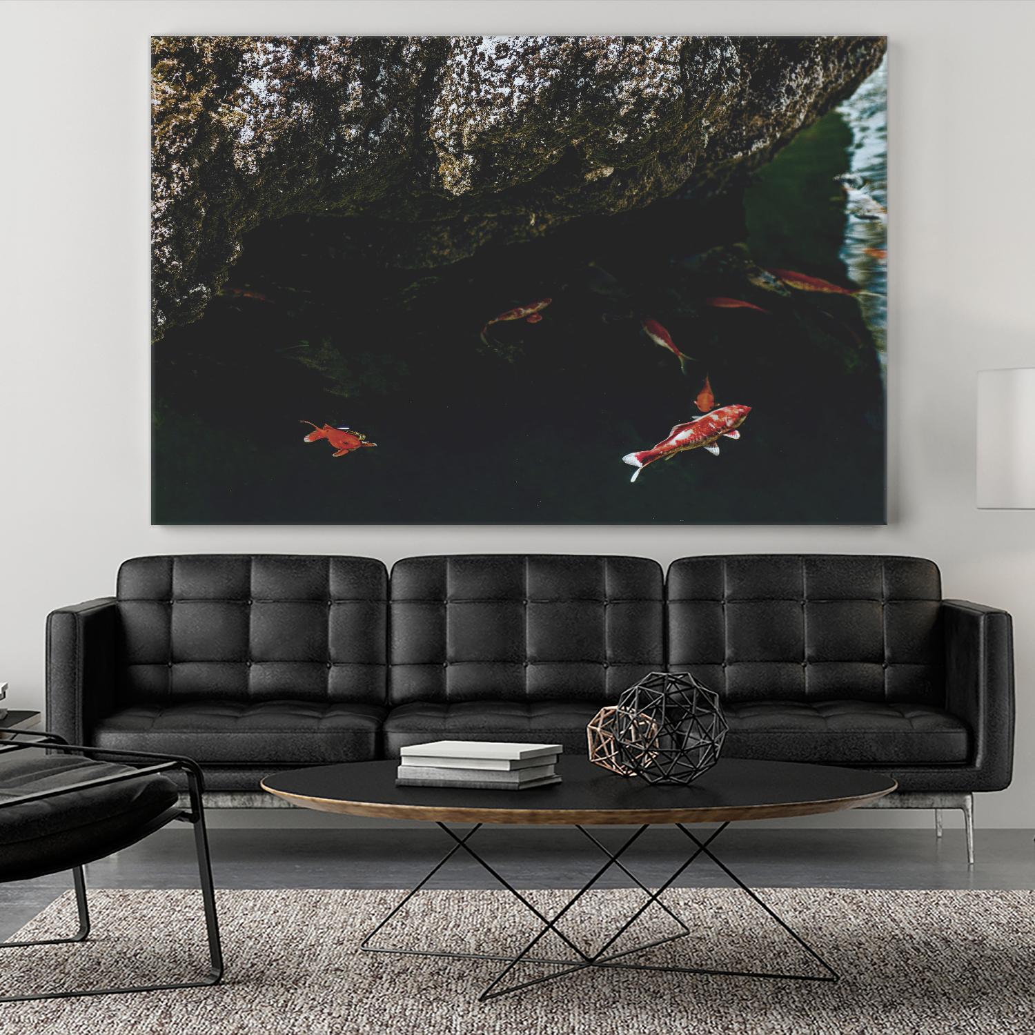 Hiding Koi by Pexels on GIANT ART - orange animals