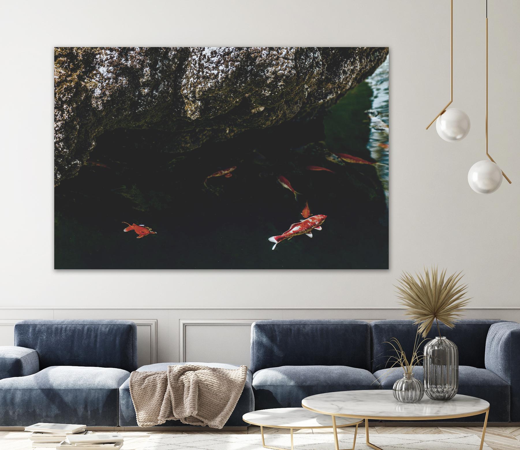 Hiding Koi by Pexels on GIANT ART - orange animals